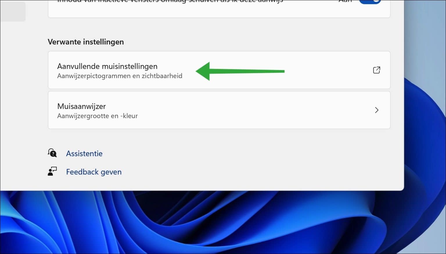 Schaduw inschakelen voor muis cursor in Windows 11