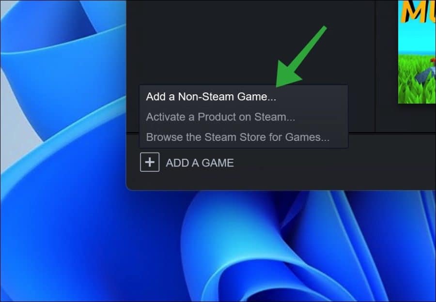 Een niet steam game toevoegen