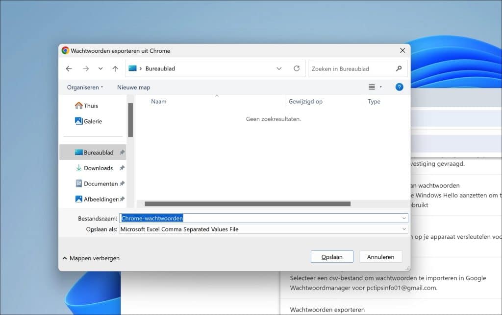 Chrome-wachtwoorden csv bestand